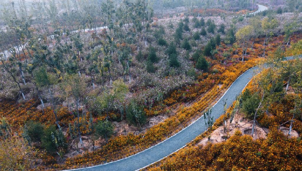 实景1.jpg 实景1.jpg