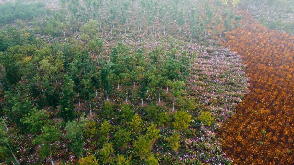 实景2.jpg 实景2.jpg