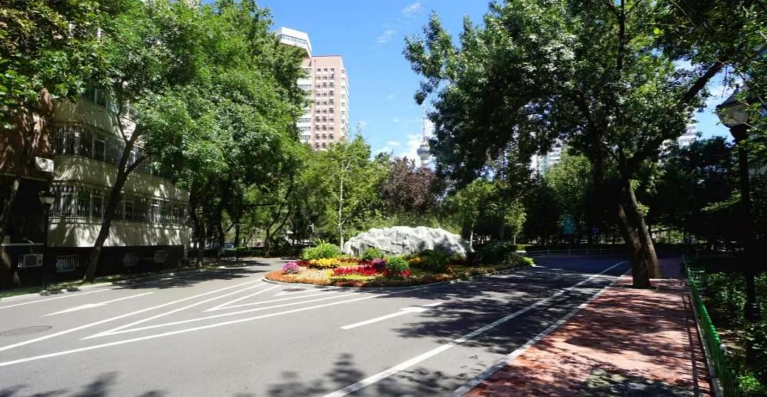 图片1.jpg 图片1.jpg